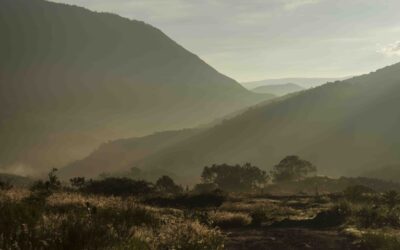 Ñi’i y Kue’e ntyu’u sanando mi relación con la tierra, sanando mi identidad